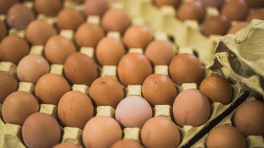 TURUKOMMENTAAR | Pühad lähenevad: munade hinnavahe turgudel on rohkem kui euro