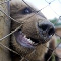 FOTOD: Alaveski loomapark üllatab liigirikkusega