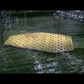 VIDEO | Kuna kuival maal napib ruumi, kaaluvad hollandlased merele ujuvlinnadesse kolimist