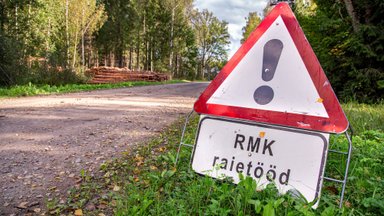 Metsakaitsjad: RMK plaanib Pärnumaal lagedaks raiuda kaitsealuse linnuliigi elupaiga