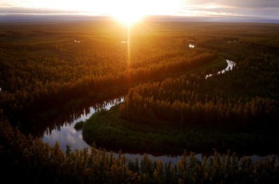 Одна из рек Якутии, вдоль которой есть множество "точек", где находят останки животных