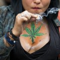 В Канаде появилась “работа мечты” после легализации марихуаны