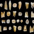 Inimesed jõudsid Hiina aladele juba hiljemalt 80 000 aastat tagasi