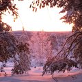 FOTOD: Karge päikesetõus maalis Lapimaa roosaks