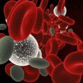 Koroonast tervenenute vereplasma võib olla loodetud imeravim