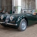 KLASSIKA: Nimest "SS" vabanenud 1950ndate Jaguar kihutab üle 200 km/h