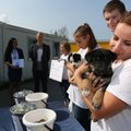 Põhja-Tallinna noored annetasid loomade varjupaigale tuhandeid eurosid
