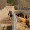 ФОТО/ВИДЕО: В национальном парке Соомаа началось пятое время года