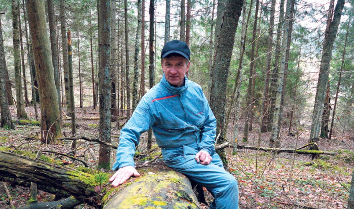 Haanja valla mees Kalju Kalk jäi looduskaitsesaaga hammasrataste vahele  2006. aastal, kui selgus, et lõviosa tema metsast asub loodaval kaitsealal. Nüüd puud mädanevad, sest saega metsa minemisele ei saa mõeldagi.