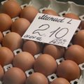 Munatootja: munade hinnad ei pruugi vanale tasemele tagasi langeda