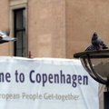 Дания закрыла два больших моста и прекратила паромное сообщение со Швецией и ФРГ