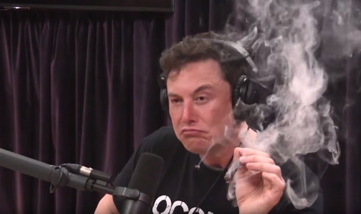 Elon Musk Joe Rogani saates kanepit suitsetamas