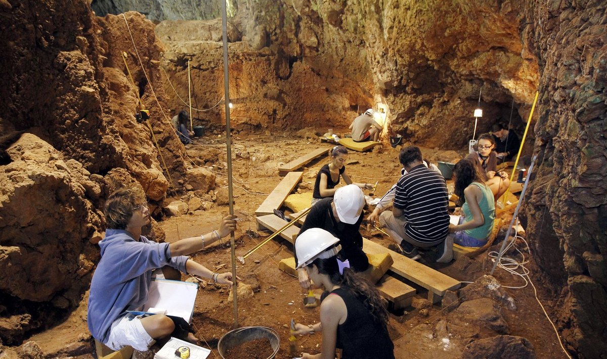 Археологические раскопки в Южной Франции