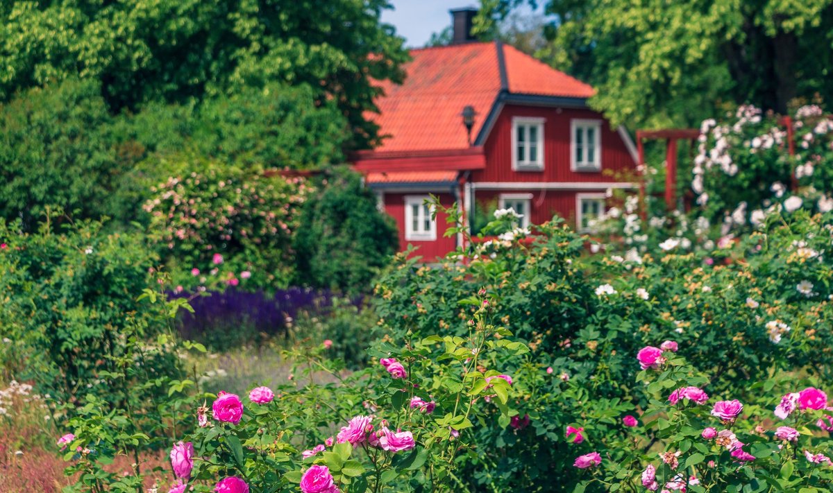 Õdus maja