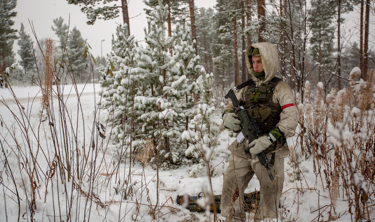 Rootsi sõdur õppusel Trident Juncture