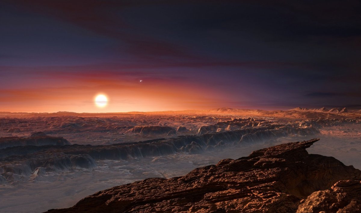 Vaade Proxima Centauri b pinnalt tähe poole kunstniku kujutluses. 