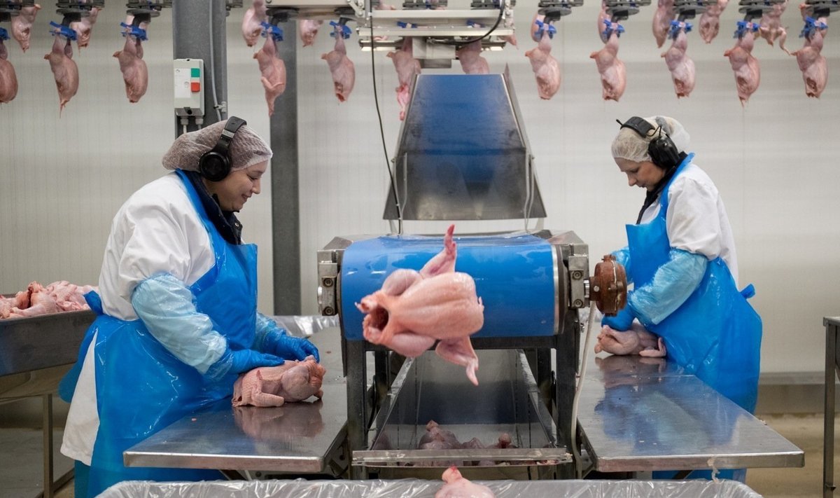 Talleggi Tabasalu lihatööstuse 120 töötajat nõudsid ühispöördumises juhatuselt paremaid palgatingimusi.