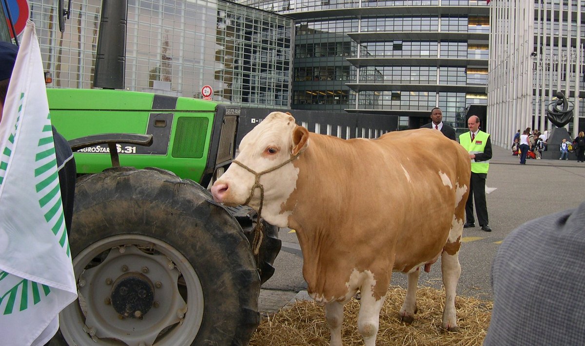 Europarlament on Strasbourgis Prantsusmaal olnud korduvalt ka põllumeeste meeleavalduste sihtmärgiks.