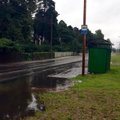 ФОТО читателя: В Нымме старушке пришлось стоять под дождем из-за лужи на остановке