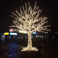 ФОТО: Почему в Ыйсмяэ в этом году не установили живую рождественскую ель?