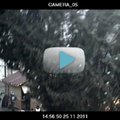 VIDEO: Vaata, kuidas kuusk Raekoja platsil pikali kukkus!