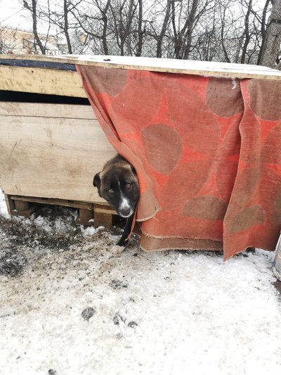 Tommi ei ulatunud isegi veeämbrini