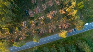 Kuidas tagada jätkusuutlik metsamajandamine ilma peavalu ja liigse ajakuluta?