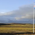 Islandlased kutsuvad valitsust üles võtma vastu suuremat hulka pagulasi