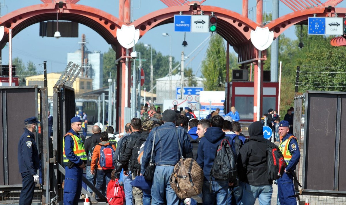 Sisserändajad oktoobris Horvaatia-Ungari piiril