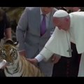 VIDEO | Mida arvad sina? Paavst paitas külla tulnud tiigrikutsikat