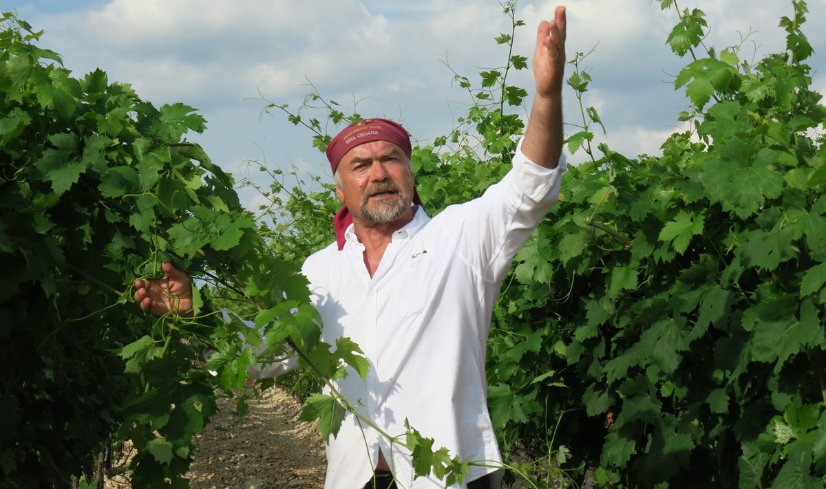 Radoslav Bobanovic armastab veini, viinamarju ja hobuseid.