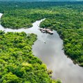 Kadunud lapsed leiti elusalt keset Amazonase džunglit kaks nädalat pärast lennuõnnetust