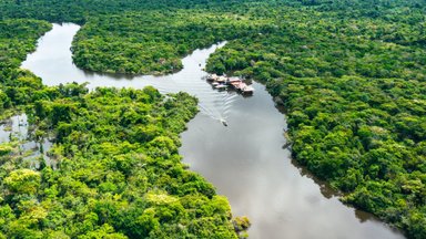 Amazonase metsadest avastati hiiglaslik iidsete linnade võrgustik