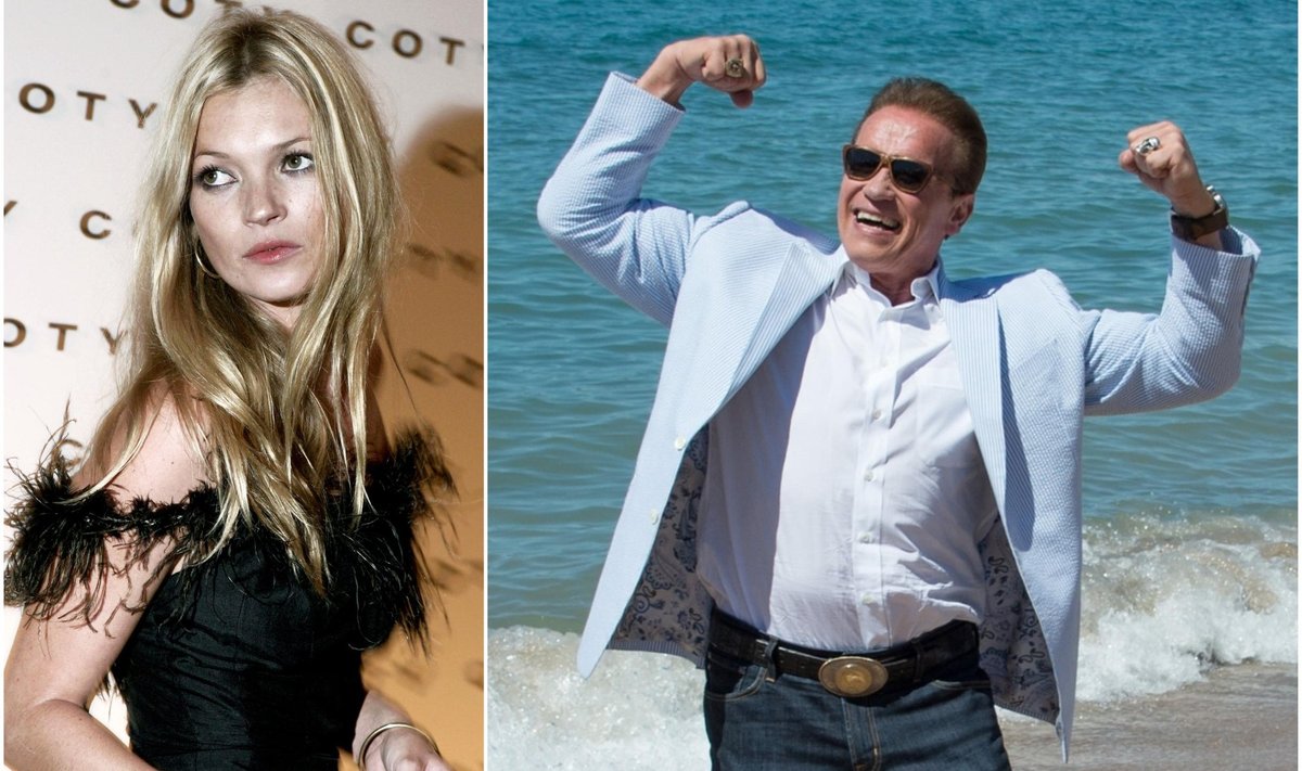 ASI SELGE: Aort olevat kui Schwarzenegger, ta peab kõigele vastu, kopsuarter seevastu aga nagu narkouimas Kate Moss – ülekoormusel annab kohe järele.