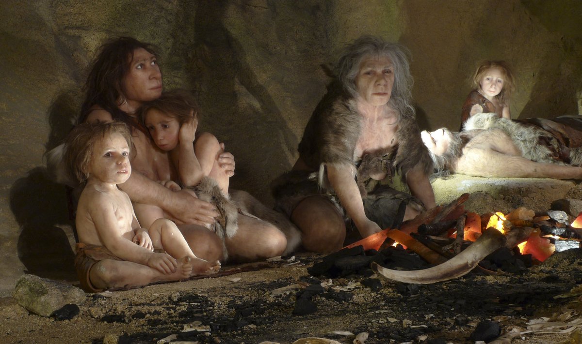 Neandertallaste pere vahakujud