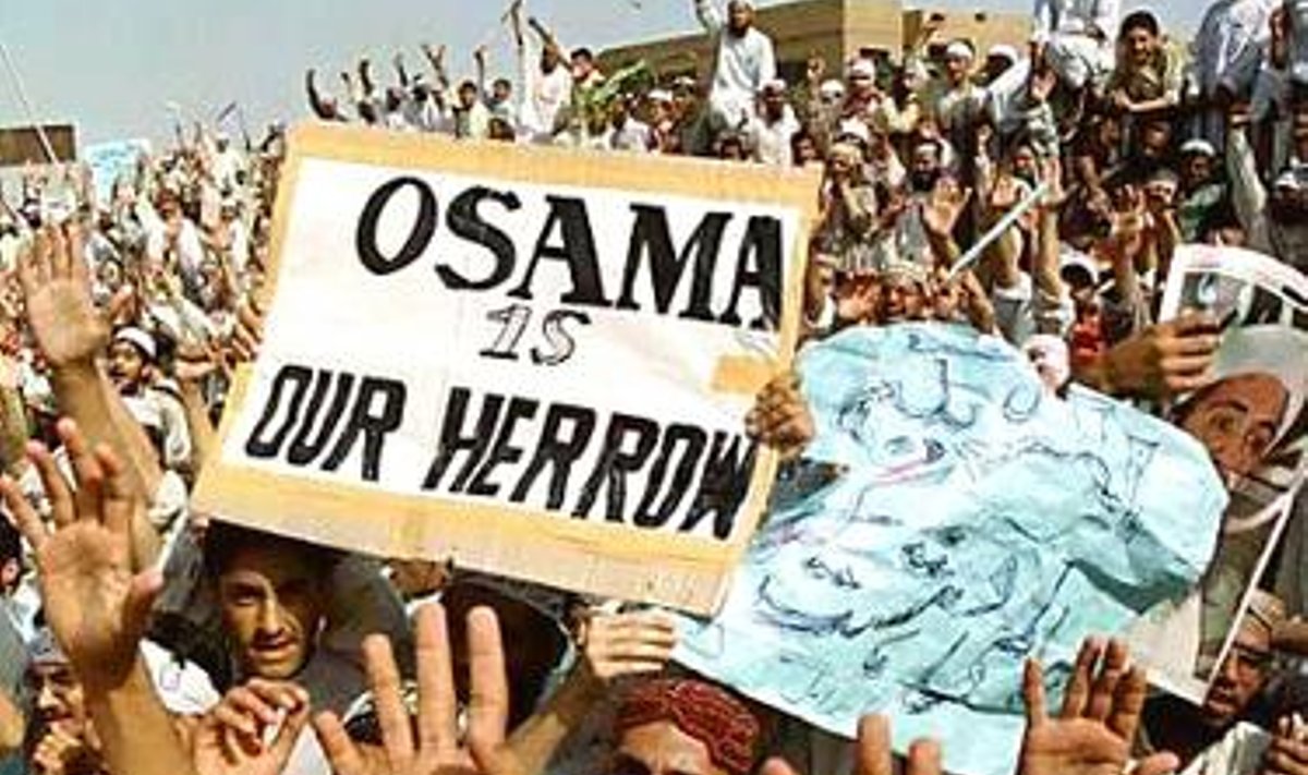 Osama bin Ladeni toetajad