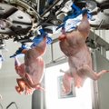 Владелец Раквереского мясокомбината сократит в Финляндии более 200 человек