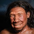 Miks on osadel inimestel rohkem neandertallase DNAd?