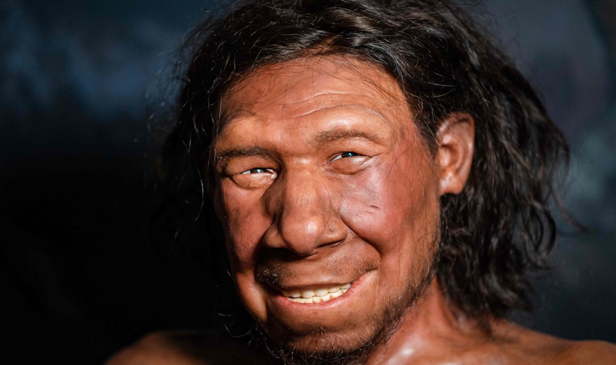 Rekonstruktsioon neandertallasest
