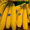 Soomes leiti banaanikastidest 20 kilo ilmselt Eesti turule mõeldud kokaiini