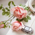 13 ilunippi, mis kallimale kingitud roosidel närbuda ei luba