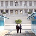 В Пхеньяне рассказали о работах по закрытию крупнейшего ядерного полигона