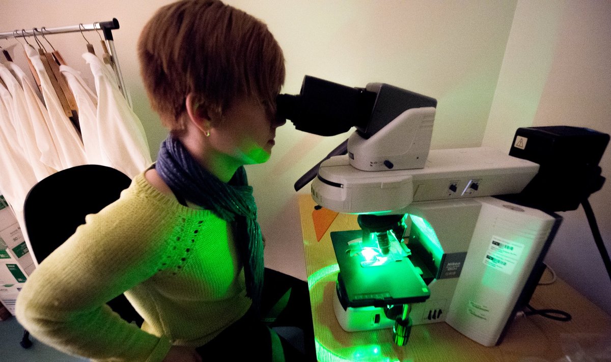 Tervise arengu instituudis tehakse ka teadustööd. Läbi mikroskoobi vaatab viroloogiaosakonna juht Julia Geller.