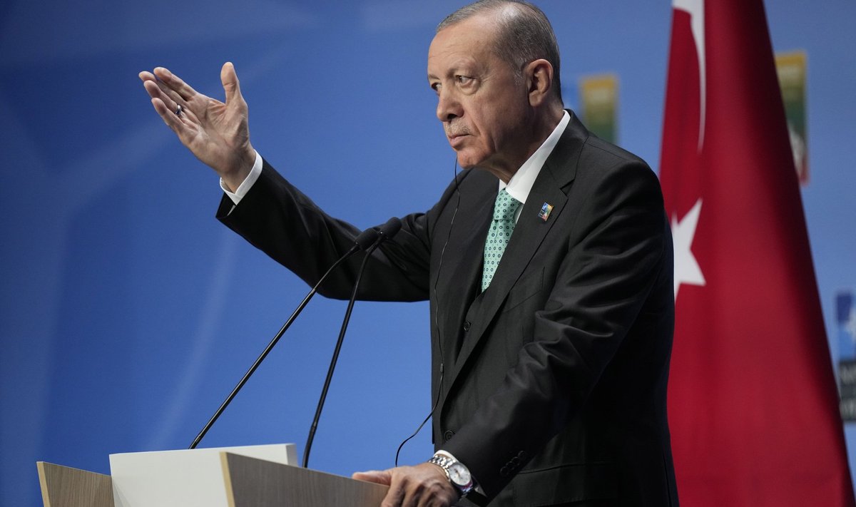 Erdoğani sõnul läks Türgi parlament puhkusele ja midagi ei saa parata. Tegelikkus on keerulisem, nagu ikka.