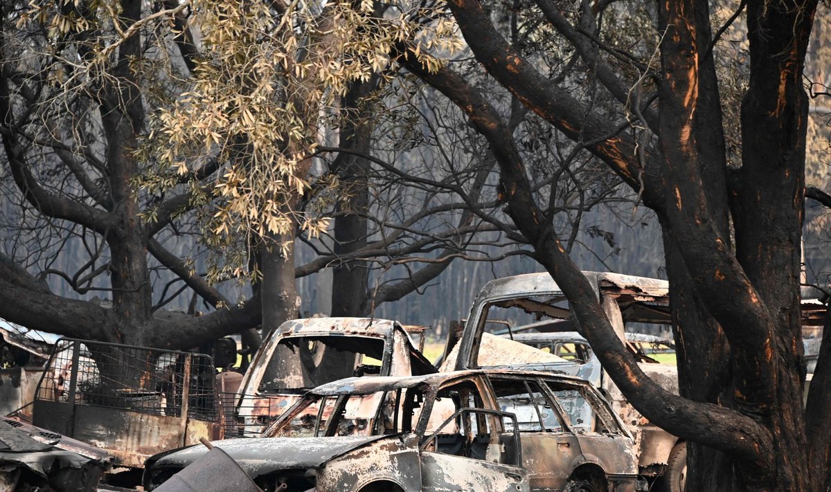 Ida-Austraalia metsapõlengute ohvriteks on langenud paljud sõiduautod. WRC autosid soovitakse säärasest saatusest säästa.