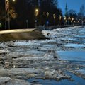 Lätis Jēkabpilsis on veetase endiselt kõrge ja jää ei ole liikunud