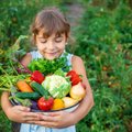 Loo tervislikke söömisharjumusi! 5 parimat köögivilja lastele näksimiseks
