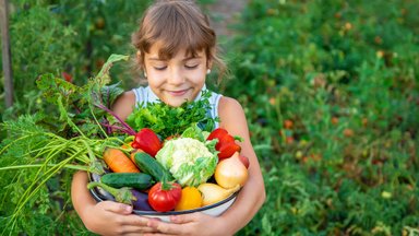 Loo tervislikke söömisharjumusi! 5 parimat köögivilja lastele näksimiseks
