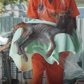 VIDEOLUGU | Surmasuust perelemmikuks: see oli üks kõige uskumatumaid päästmislugusid, mida loomakaitsjad eales näinud olid