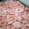 Потенциальная опасность: продаваемое в Эстонии куриное мясо из Литвы и Латвии заражено бактериями, устойчивыми к антибиотикам